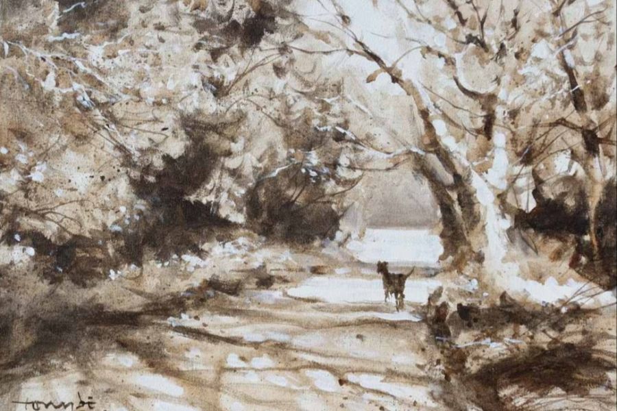 Incredible Journey (30x40cm)